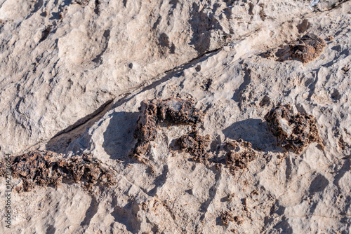 Limestone ( Moenkopi Formation Lower unit), Blue Diamond Hill. Red Rock Canyon Road | Las Vegas, Clark County, Nevada. Mojave Desert.  Basin and Range Province	 photo