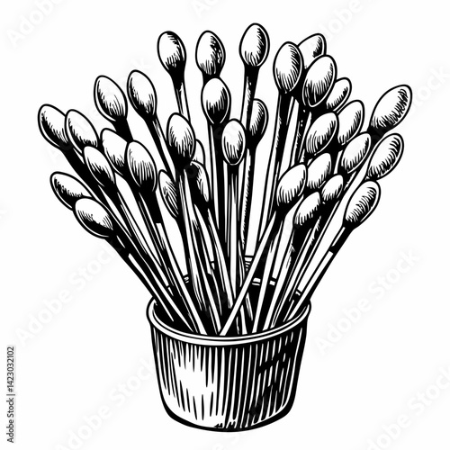 Vintage Cotton Swabs Illustration with Container Detailed Hand Drawn Art