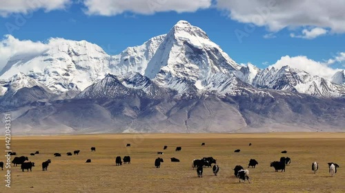 Wallpaper Mural 4k Video of Chomo Lhari Sacred Peak in the Himalayas With Majestic Views of Tibetan Landscape and Snowy Mountains Torontodigital.ca