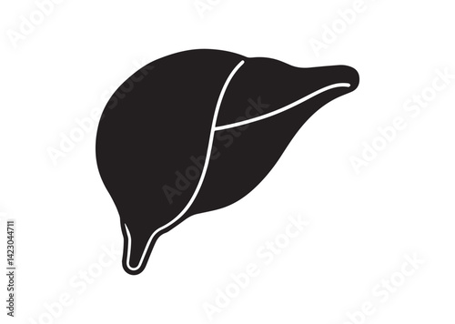 Liver Silhouette Vector