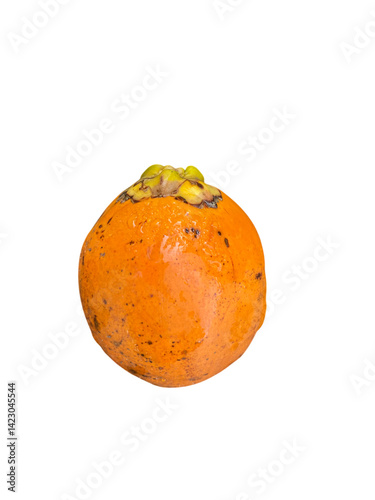 vibrant orange fruit with smooth surface and small crown of yellowish green leaves top, showcasing its natural beauty and freshness. This fruit is often enjoyed for its sweet flavor