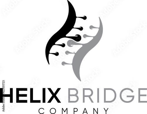 simple black silhouette helix and bridge concept logo design