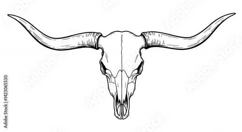 Longhorn skull line art western rustic animal skull illustration