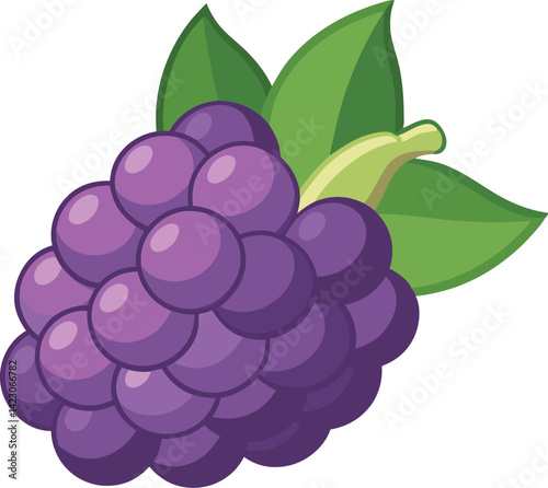 A vibrant vector art illustration showcasing delicious boysenberries with rich colors and detail, perfect for food, nature, or packaging designs.