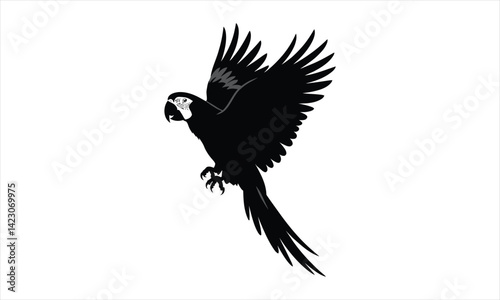Parakeet Silhouette Flying Black