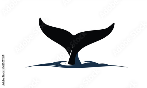  Whale Tail Silhouette Water