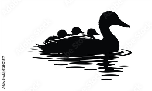Ducklings Swimming Mother Silhouette