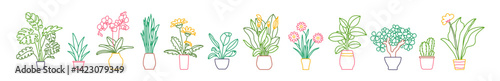 Indoor plant in a pot. Colorful sketch collecton. Vector doodle color illustration set. Monstera, philodendron, scarlet, orchid and snake plant. Gerbera, peace lily, chamomile, rubber and cactus