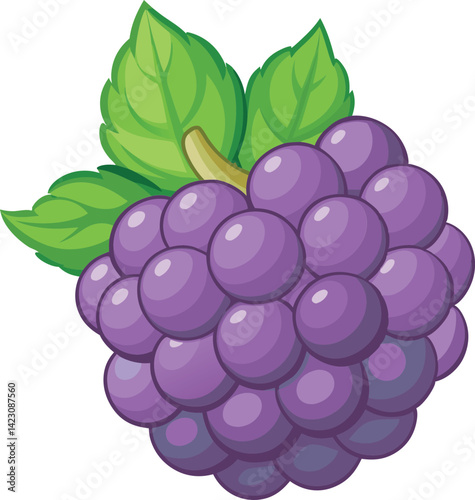A vibrant vector art illustration of a delicious boysenberry, showcasing its rich colors and intricate details for a fresh, appetizing look.