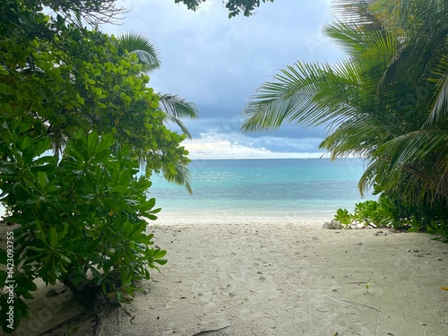 Amazing nature beach with palm trees and blue sky. Summer vacation travel holiday background. Paradise beach. Luxury travel summer holiday tourism