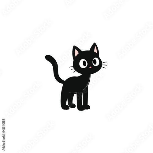 black and white cat