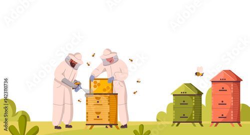 Beekeepers at apiary work with hives and honey bees. People in beekeepers suit gather honey at apiculture farm. Characters using smoker, holding beehive frames, honeycomb. Flat vector illustration.