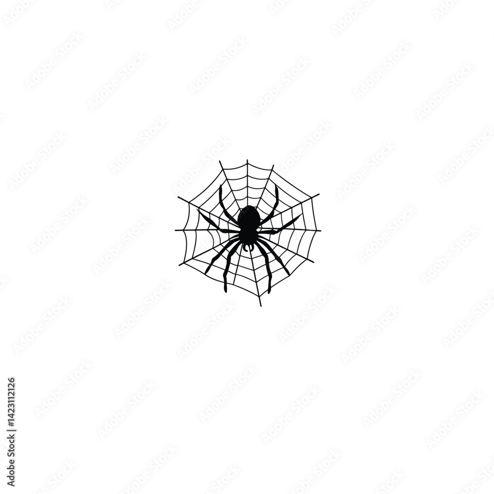 Fototapeta premium Spider on web silhouette on white background