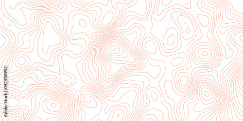 abstract topographic wave line black, white line map texture. geometric discovery mounted location counter grid map background.White wave paper curved reliefs abstract background. The topographic map.