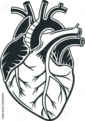 Human Heart icon design, vector.