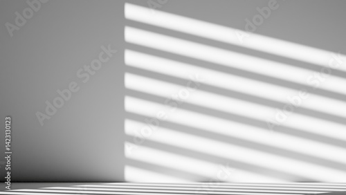 a minimalist white room with strong natural light casting distinct shadows. empty bright room wall, free space, background, copy space, design