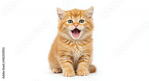 Ginger Kitten Yawning with Mouth Open Isolated on White Background Cute and Expressive Portrait Small Pet Animal with Furry Orange Coat Playful and Adorable Studio Shot