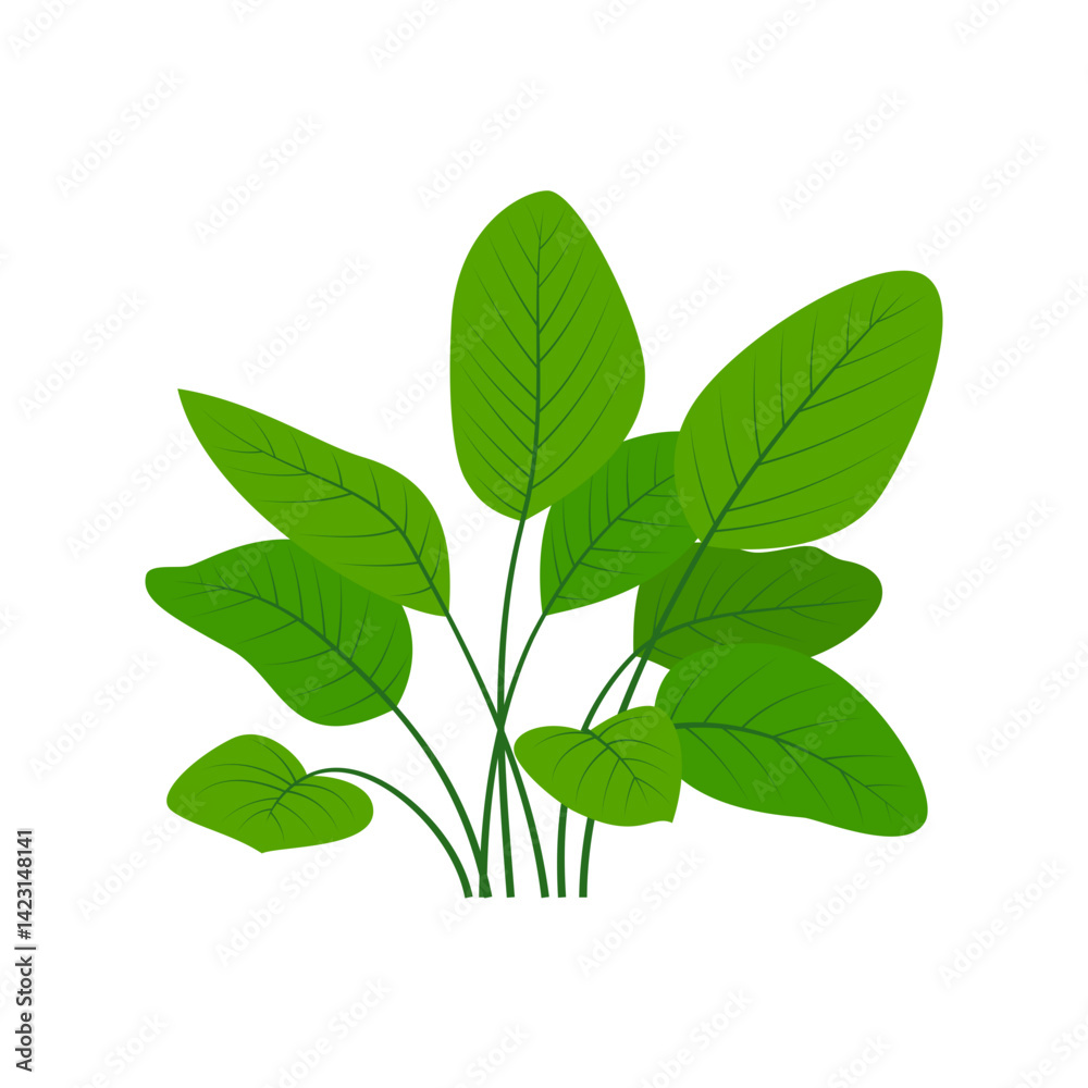 green leaves cluster illustration green leaves cluster illustration