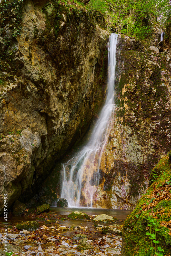 Obraz premium Forest waterfall over mossy rocks