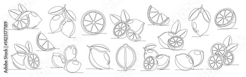 Lemon continuous one line drawing set. Outline lemon citrus icon collections isolated on a white background. Editable stroke. Vector illustration