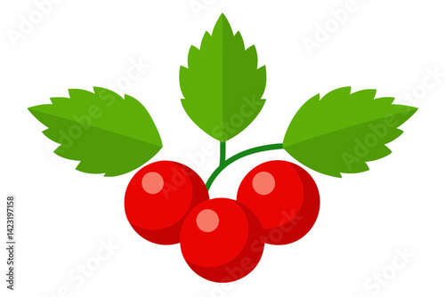 Fresh Redcurrant Line Art Illustration