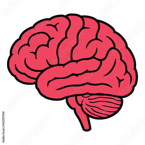 Illustration of a human brain in pink with bold black outlines.