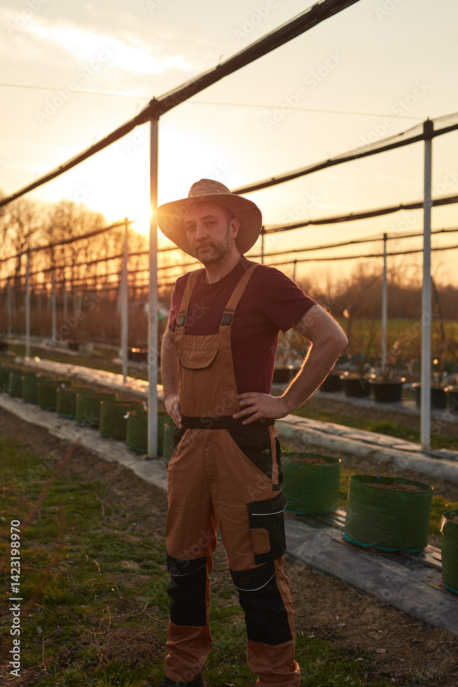 Male gardener with hat working in a blueberries organic farm.