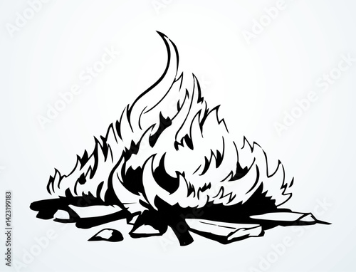 Vector drawing. Big camp fire