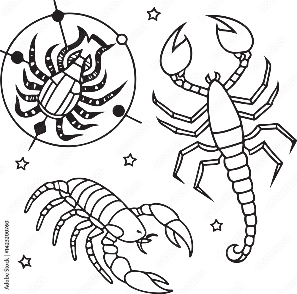 Obraz premium Scorpion Zodiac Vector Illustration – Hand Drawn Scorpio Astrology and Insect Line Art