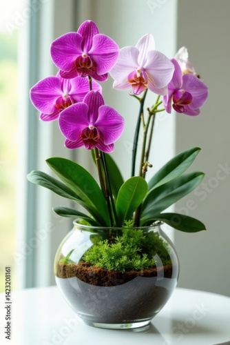 Exotic orchids and ferns in a modern glass container on white surface , containers, orchids
