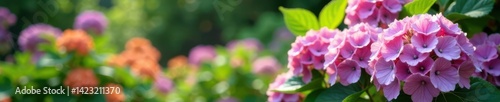 Garden scene with hydrangeas and other flowers, nature, flowers