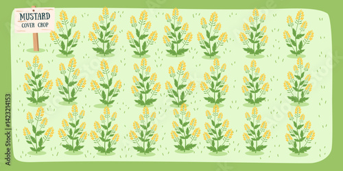 Mustard plant background, cover crop. Gardening, regenerative farming, nature, soil care concept. Vector hand drawn banner.
