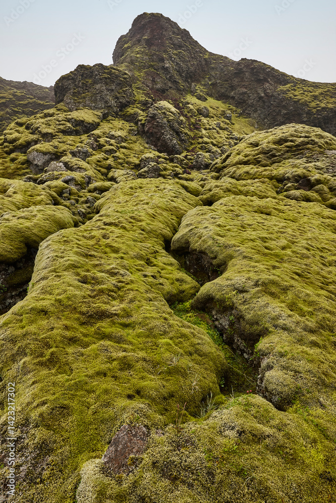 Mossy and foggy landscape in Lakagigar. Volcanic area. South Iceland
