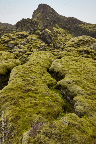 Obraz na płótnie Mossy and foggy landscape in Lakagigar. Volcanic area. South Iceland w salonie