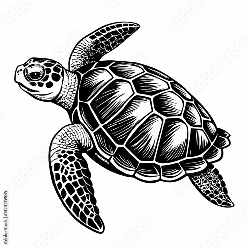 Detailed Black and White Sea Turtle  Illustration