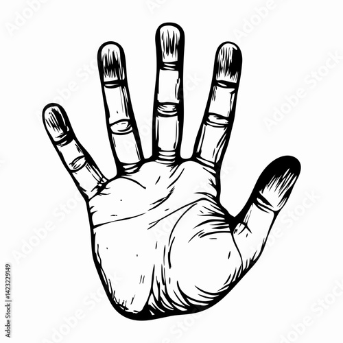 Stylized hand illustration showcasing detailed lines and textures on a plain background, representing artistry and communication.