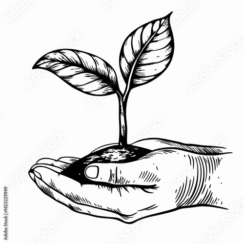 Hand nurturing a young plant symbolizing growth and care in a minimalist style representing environmental stewardship and sustainability.
