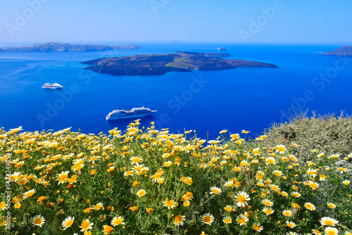 Spring caldera and flowers, Santorini, Greece