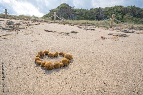 Ein Herz aus Seebällen am Strand photo