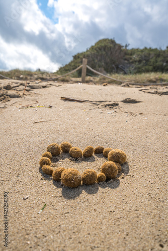 Ein Herz aus Seebällen am Strand photo