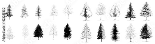 Collection of detailed tree icons showcasing various species in black and white line art style