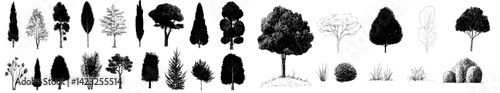Various tree silhouettes and shrubs illustrated in a vector style for nature-themed designs