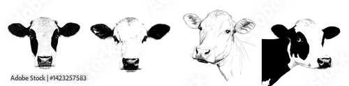 Diverse cow head icons suitable for agricultural and livestock themes featuring various styles and expressions