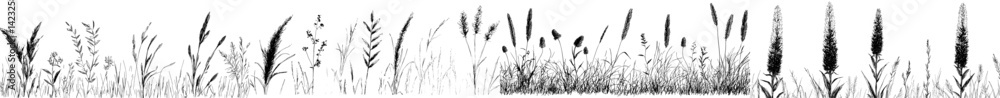 Vector illustration of flora silhouettes showcasing diverse grass and plant species in a minimalist black and white design Vector illustration of flora silhouettes showcasing diverse grass and plant species in a minimalist black and white design