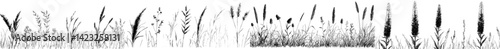 Vector illustration of flora silhouettes showcasing diverse grass and plant species in a minimalist black and white design