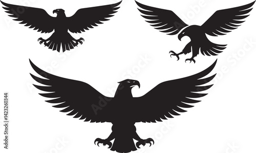 eagle vector illustration