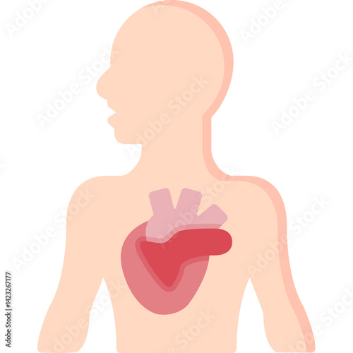 Anatomy Icon