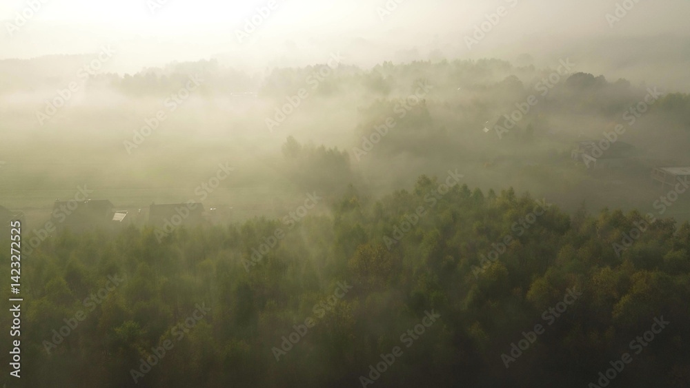 Vibrant autumn fields and forest blanketed by morning fog