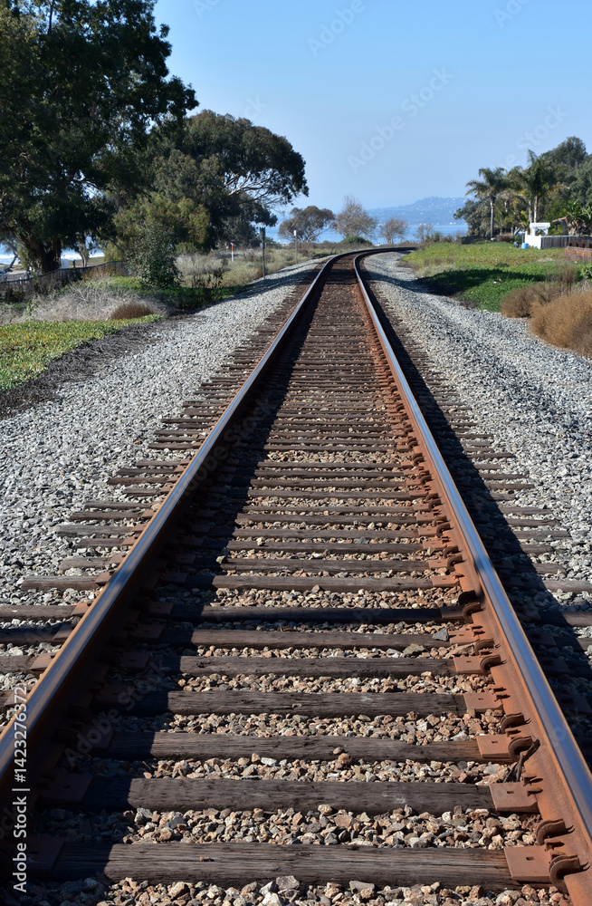 Fototapeta premium Railroad Tracks Heading Into the Distance