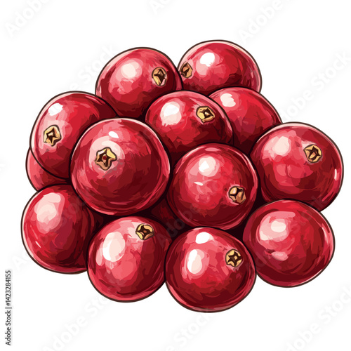 Fresh red cranberries piled against white background